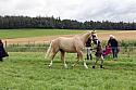 Carnwath2025Ring1295