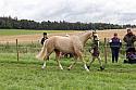 Carnwath2025Ring1296
