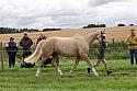 Carnwath2025Ring1298