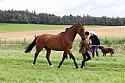 Carnwath2025Ring1300