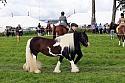 Carnwath2025Ring1313