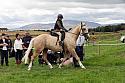 Carnwath2025Ring1335