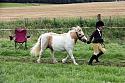 Carnwath2025Ring1341