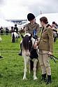 Carnwath2025Ring1368