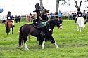 Carnwath2025Ring1379