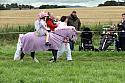 Carnwath2025Ring1409
