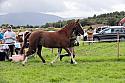 Carnwath2025Ring1413