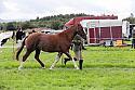 Carnwath2025Ring1414