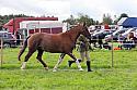 Carnwath2025Ring1415