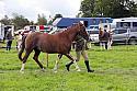 Carnwath2025Ring1416