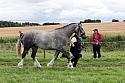 Carnwath2025Ring1417