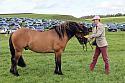 Carnwath2025Ring1422