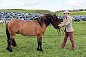 Carnwath2025Ring1423