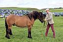 Carnwath2025Ring1424