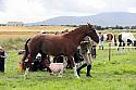 Carnwath2025Ring1429