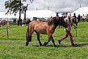 Carnwath2025Ring1447