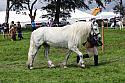 Carnwath2025Ring1450
