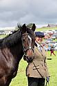 Carnwath2025Ring1460