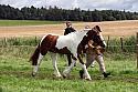 Carnwath2025Ring1465