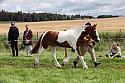 Carnwath2025Ring1466