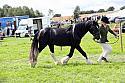 Carnwath2025Ring1473