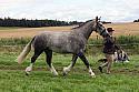 Carnwath2025Ring1477