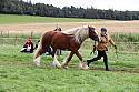 Carnwath2025Ring1485