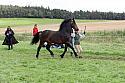 Carnwath2025Ring1491