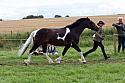 Carnwath2025Ring1499
