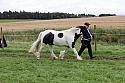 Carnwath2025Ring1500