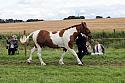 Carnwath2025Ring1508