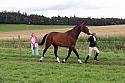 Carnwath2025Ring1515