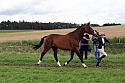 Carnwath2025Ring1516