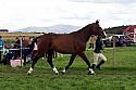 Carnwath2025Ring1520