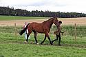 Carnwath2025Ring1521