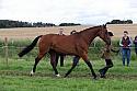 Carnwath2025Ring1523