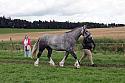Carnwath2025Ring1526