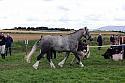 Carnwath2025Ring1530