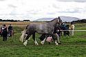 Carnwath2025Ring1531