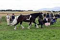 Carnwath2025Ring1532