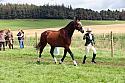 Carnwath2025Ring1540