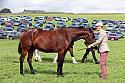 Carnwath2025Ring1545