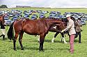 Carnwath2025Ring1546