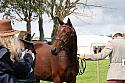 Carnwath2025Ring1547