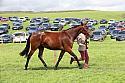 Carnwath2025Ring1557