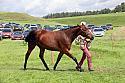 Carnwath2025Ring1559