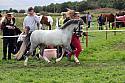 Carnwath2025Ring1565