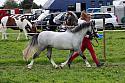 Carnwath2025Ring1566