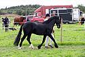 Carnwath2025Ring1569