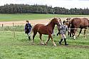 Carnwath2025Ring1572